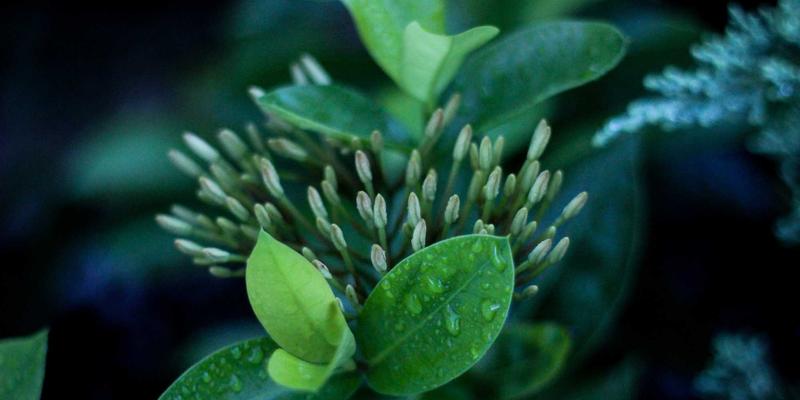 工业机器人地轨与基座：揭秘东莞重型五金结构件的稳定性设计与精密加工