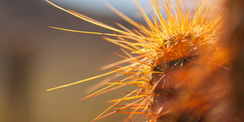 户外通信柜体防腐秘籍：揭秘东莞五金供应商盛源888的热浸镀锌与喷塑工艺