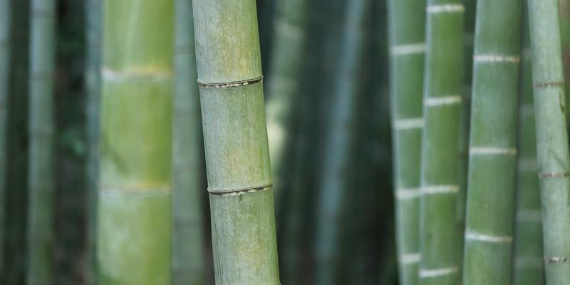 揭秘半导体设备“心脏”的诞生：东莞超高洁净五金件的制造环境与流程