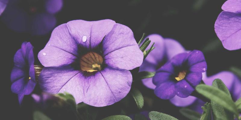 智能家居新引擎:东莞五金制品如何重塑未来生活空间