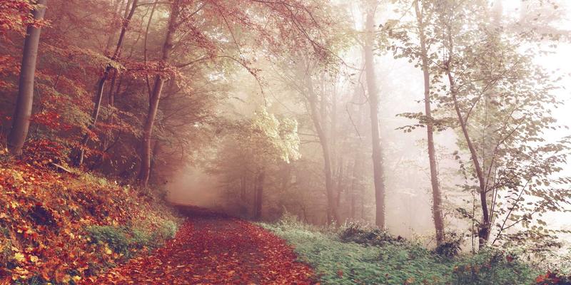 盛源888解析:东莞精密压铸工艺如何重塑新能源汽车电控壳体的未来