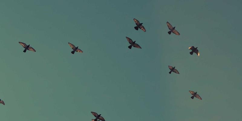 精密智造,守护安全:探秘东莞五金制品如何重塑智能安防设备核心