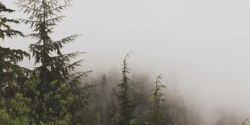 降本增效:东莞机械配件与五金加工原材料采购策略全解析(以盛源888为例)